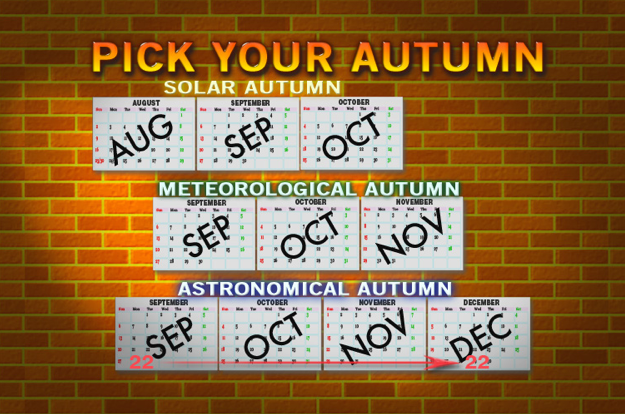 Autumn%20 %20Pick%20Yours